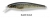 Воблер Baker JLD-1 Jerkbait 65 T005