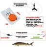  Оснастка Фидерная SMARTBAITS Осетровая 20гр