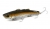 Раттлин Garry Angler VIB 120mm 60g 450LB