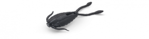 фото - Приманка OJAS Tisbe, 27мм, цвет Black Widow, Рак-рыба