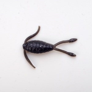 фото - Приманка силиконовая TISBE 0.5" Цвет 02
