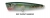 Поппер Baker BBT-1 Popper 63 HF005