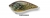 Воблер Baker RGD-1 Crankbait 57 T011