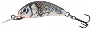 фото - Воблер тонущий Salmo HORNET S 02.5/HGS