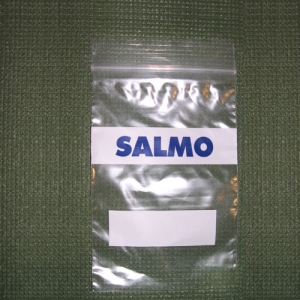 фото - Пакет Salmo Лого 01