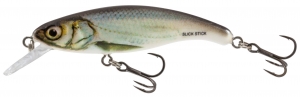 фото - Воблер плавающий Salmo SLICK STICK F 06/RBL