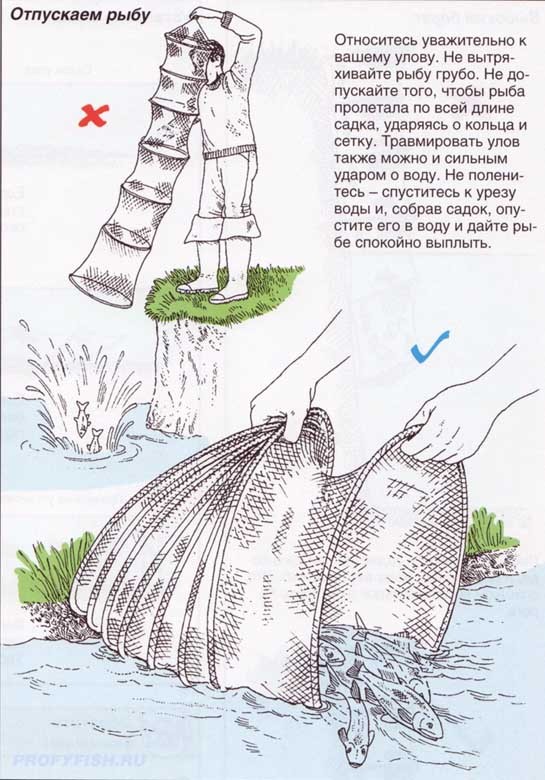 Садок для рыбы своими руками - как сделать в домашних условиях